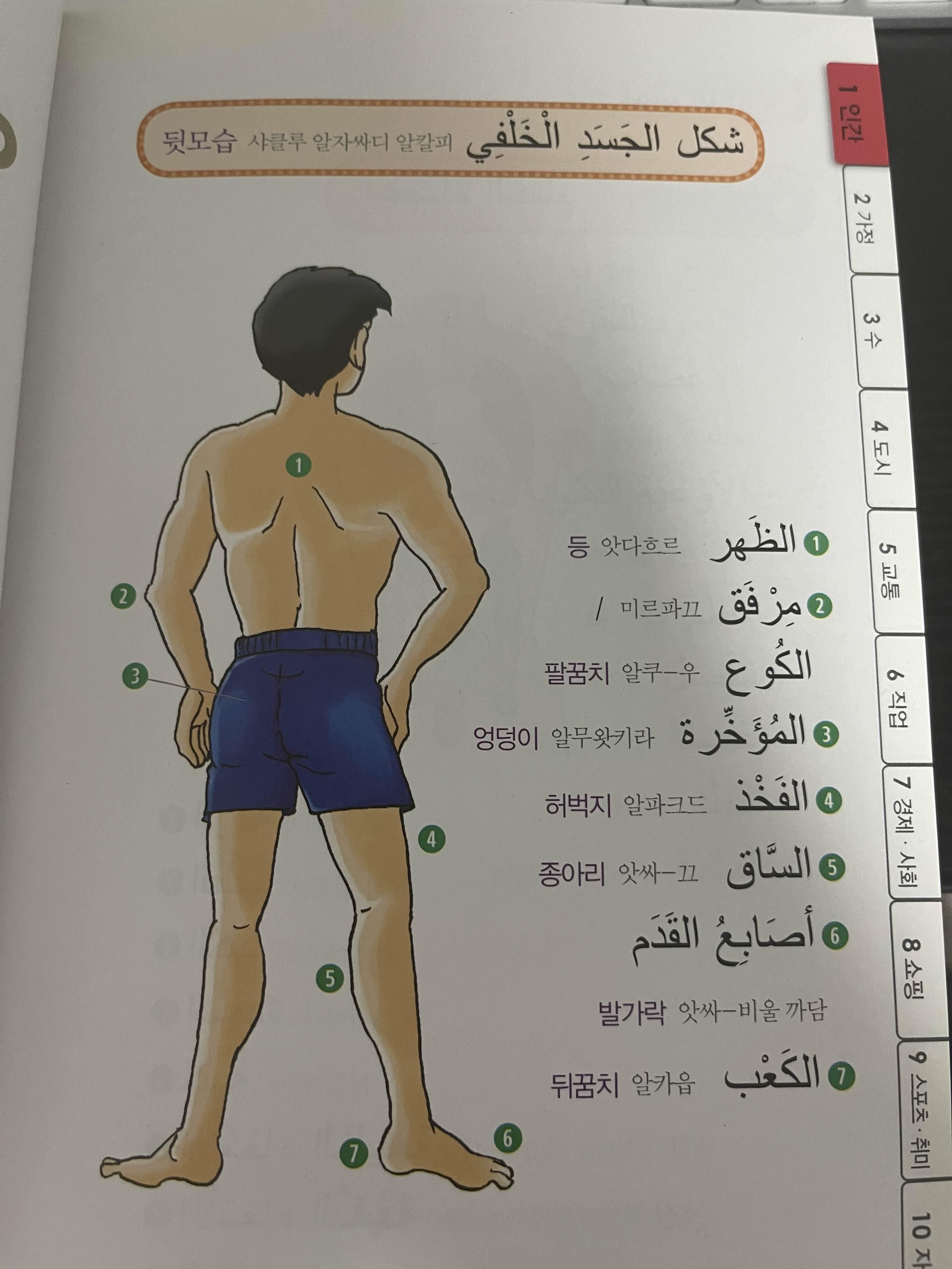 테마별 회화 아랍어 단어 2300