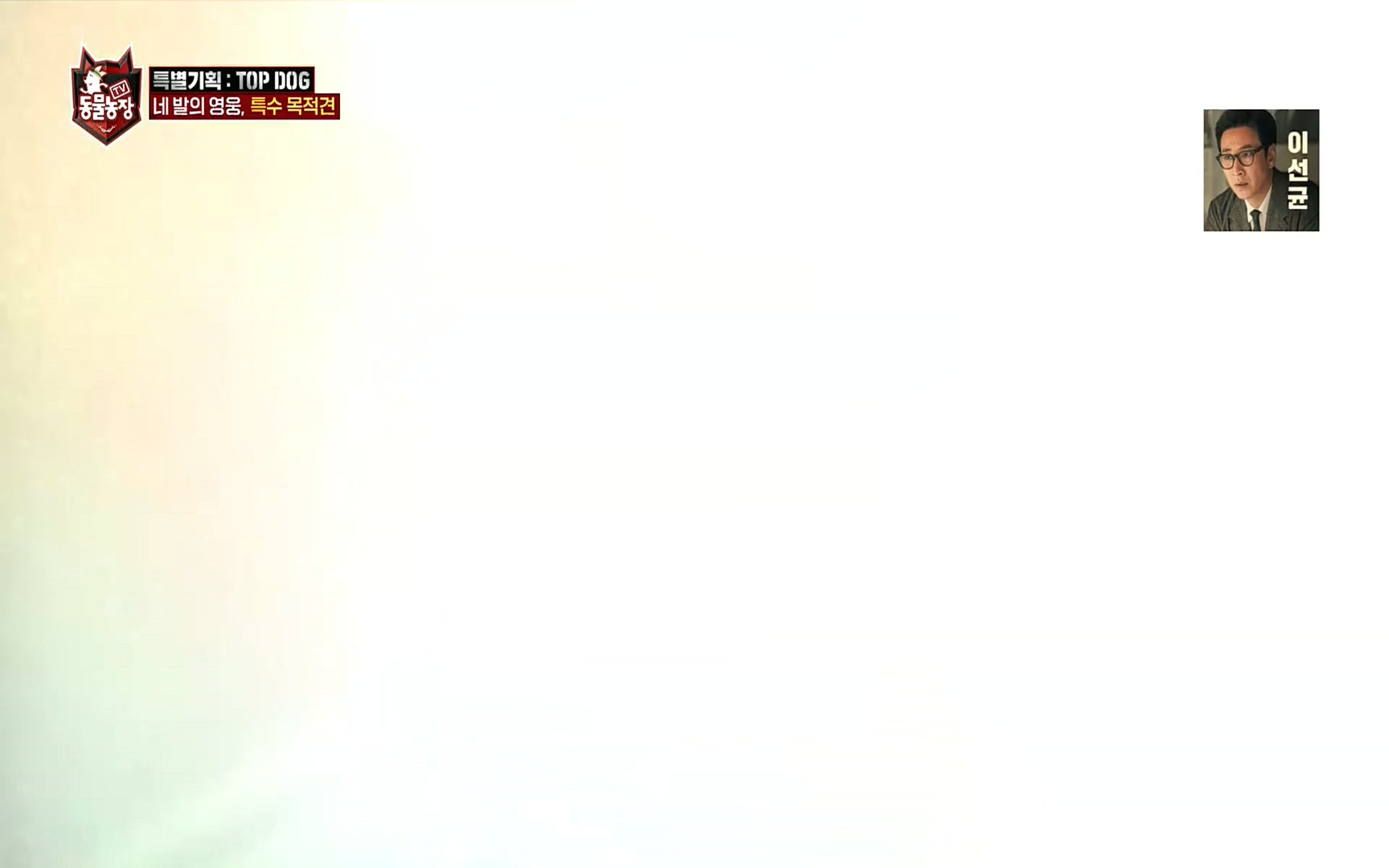 TV 동물농장.E1086.220911p.H264-F1RST.mp4_20220911_175205.751.jpg