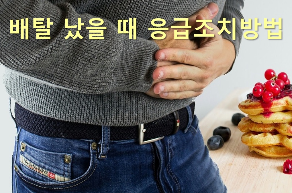  배탈 설사에 좋은 음식과 배탈 났을 때 응급조치 방법