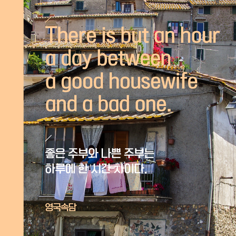 영어속담4