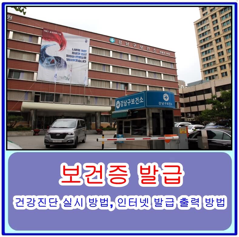  보건증 발급을 위한 건강진단 실시 방법, 인터넷 발급 및 출력 방법, 코로나19로 인한 보건증 발급 관련 주의사항