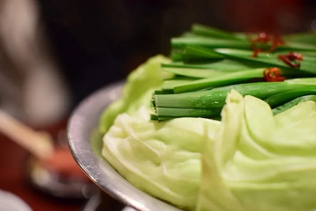 부산 후쿠오카 배편 시간표 요금 가격_7