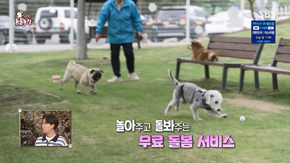 TV 동물농장.E1124.230611p.H264-F1RST.mp4_20230611_173527.988.jpg