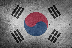 제21대 대통령선거 사전투표 방법 총정리! 일정부터 준비물까지 1분컷 정리 관련 사진