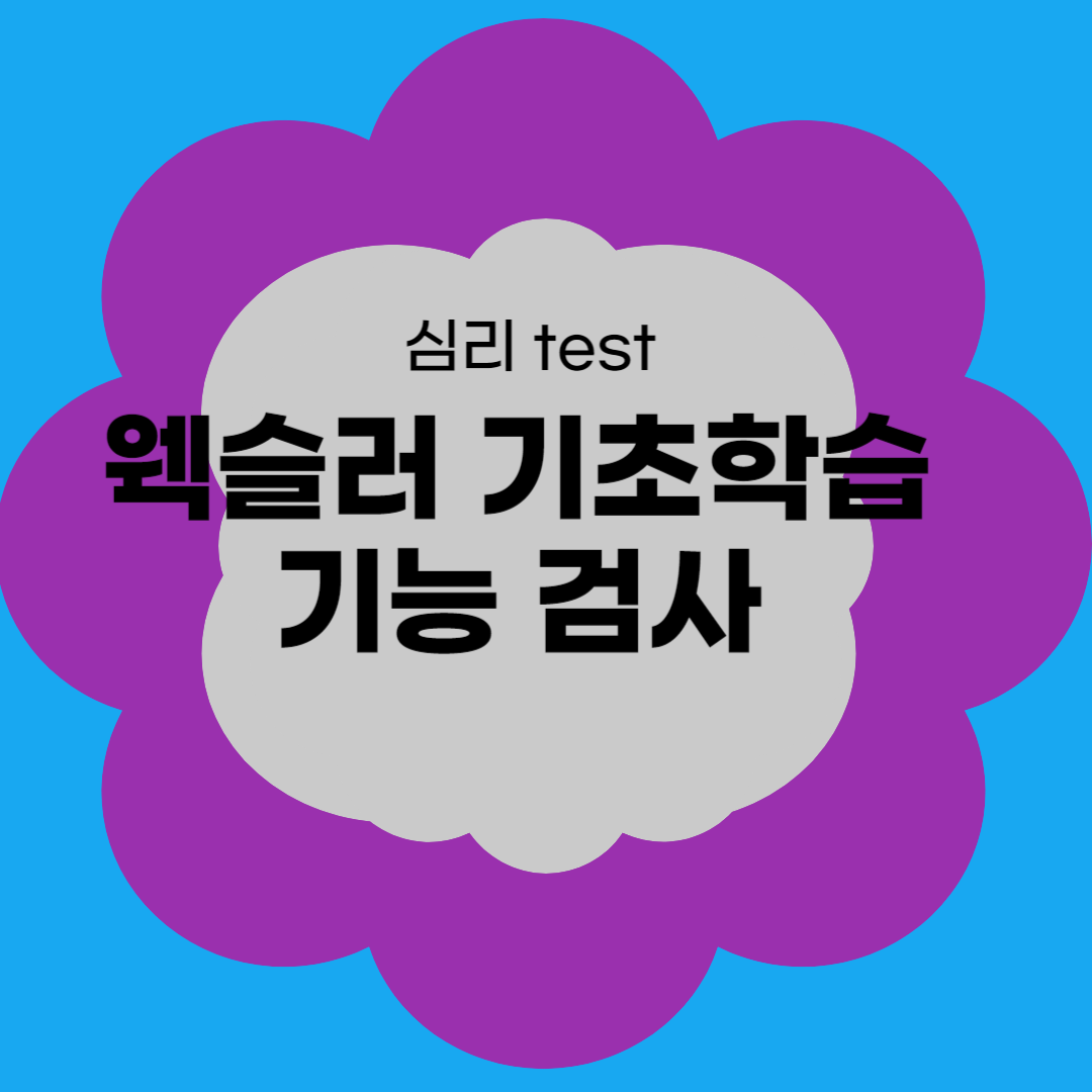 웩슬러 기초학습기능 검사