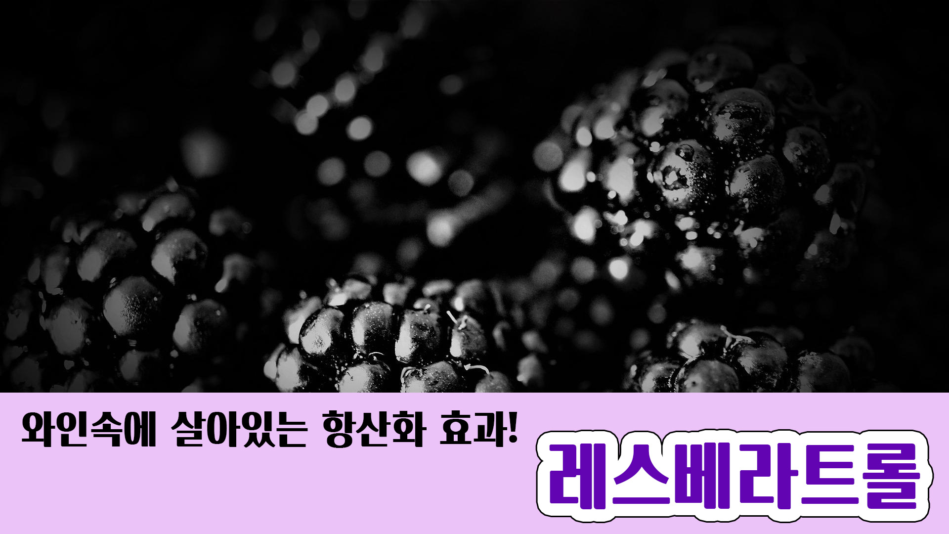  와인속에 숨쉬는 항산화 효과, 레스베라트롤의 효능! 포도, 블랙베리의 특별한 성분 레스베라트롤!