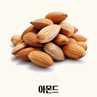 아몬드 효능 하루 섭취량 칼로리_11