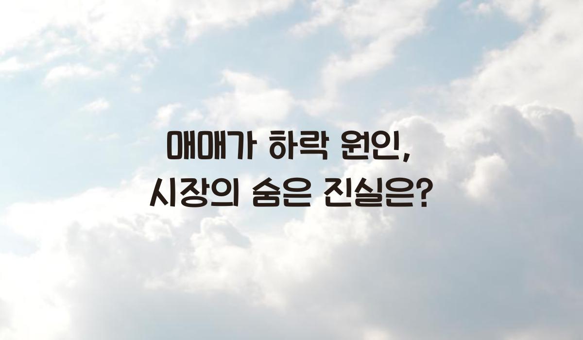 매매가 하락 원인