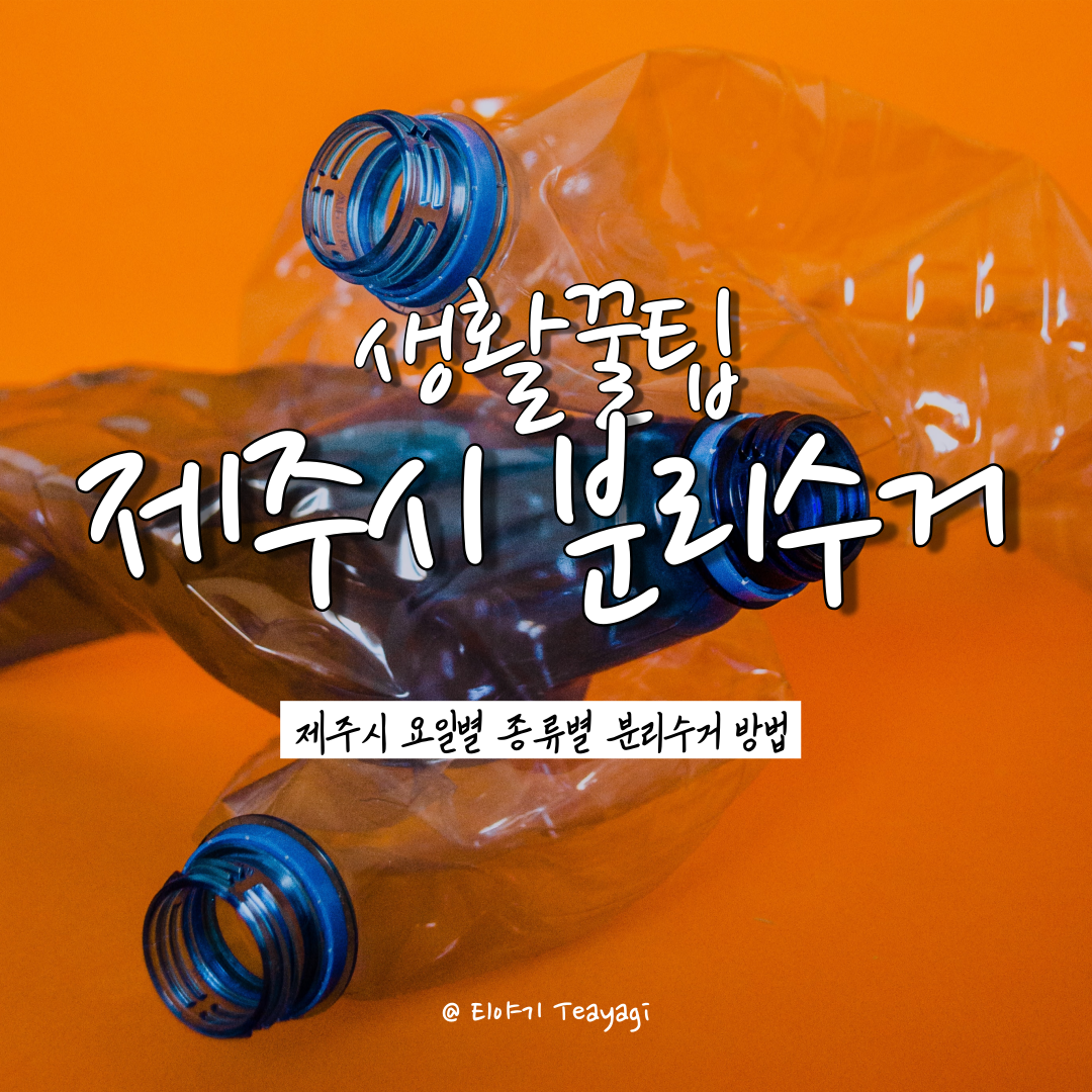  제주 Jeju | 제주시 요일별 / 종류별 재활용품 분리 배출 방법 안내 (feat. 클린하우스 이용 시간 및 꿀팁)