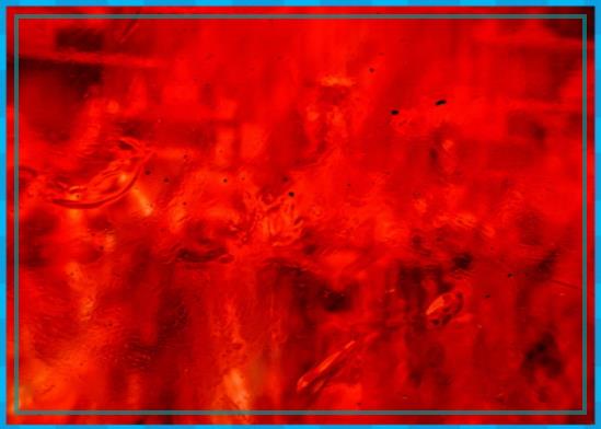 웃는 꿈 꿈꾸며 웃는 소 5