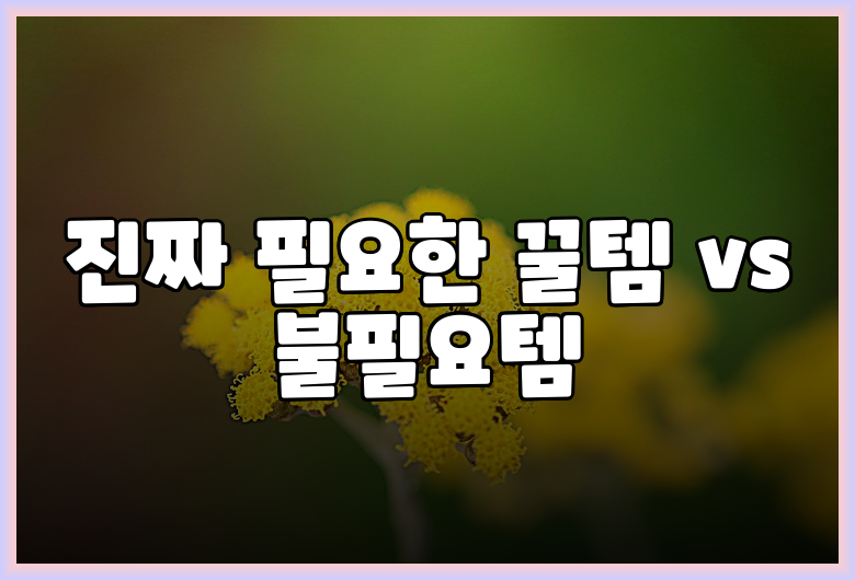 진짜 필요한 꿀템 vs 불필요템