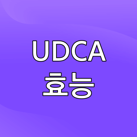 UDCA-효능-썸네일