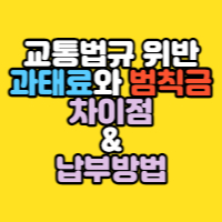  교통법규 위반 과태료와 범칙금 차이점과 납부 방법