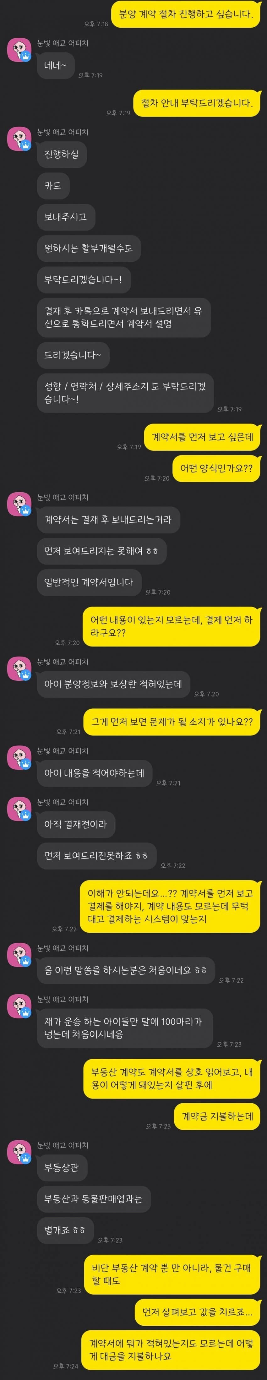  캣맘 능지 레전드