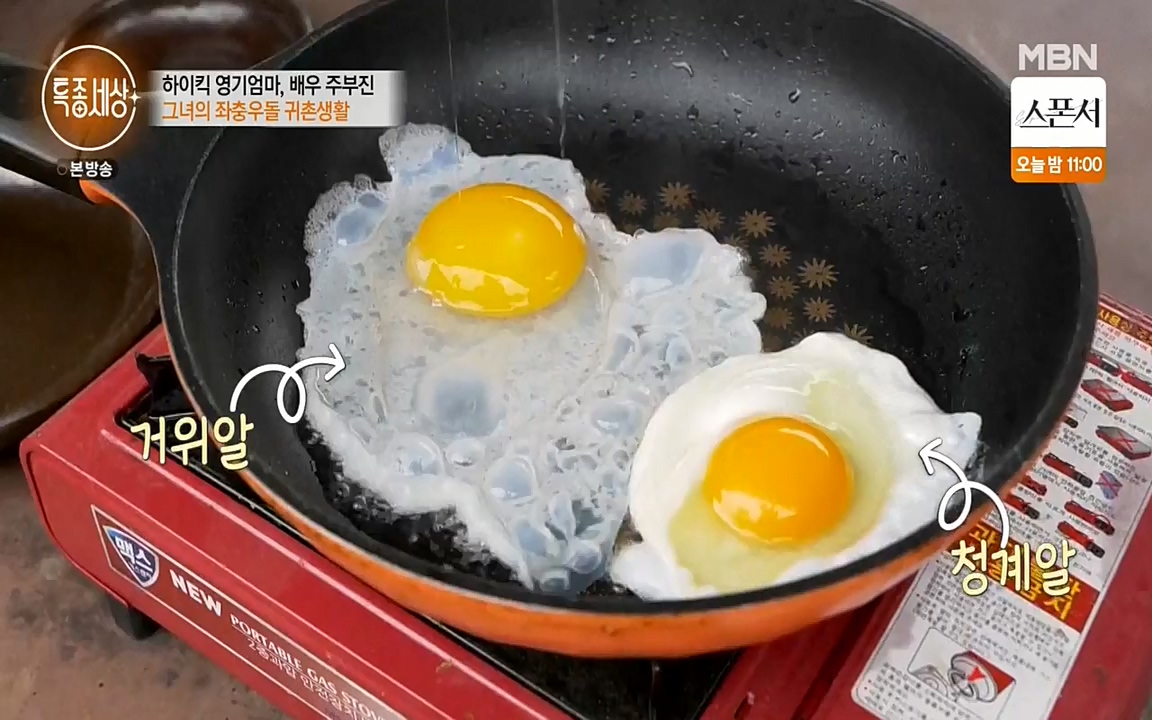 현장르포 특종세상.E524.220332p-NEXT.mp4_20220402_185259.931.jpg