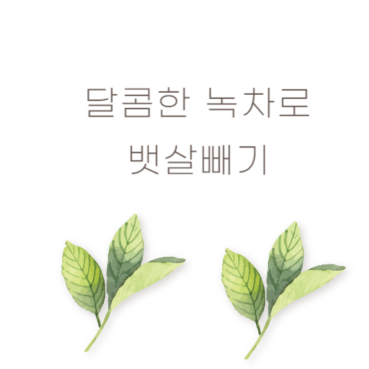 녹차로 뱃살빼기