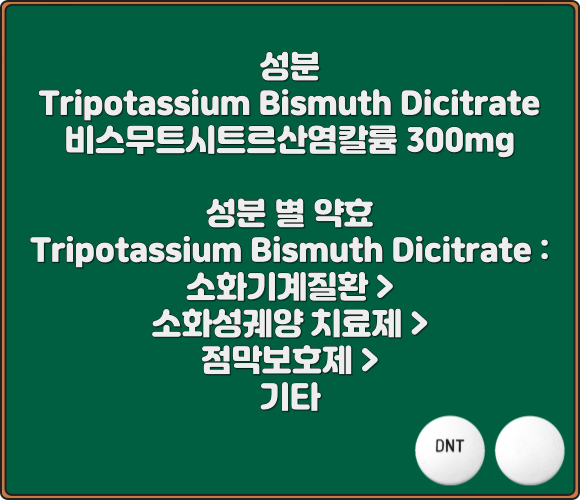 데놀정_성분