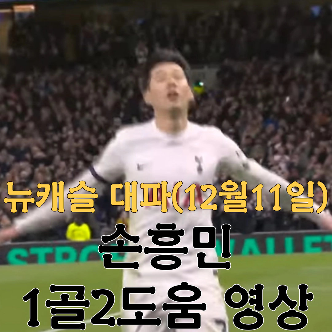 손흥민 1골2도움 영상...뉴캐슬 4-1 대파(12월11일)