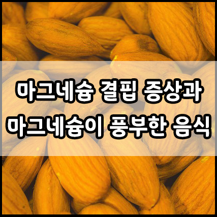  마그네슘 결핍 증상, 마그네슘 부족, 마그네슘이 풍부한 음식
