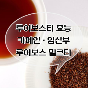 루이보스티 효능
