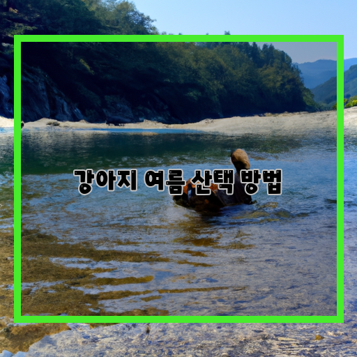  강아지의 뜨거운 머리, 이유와 해결법은?