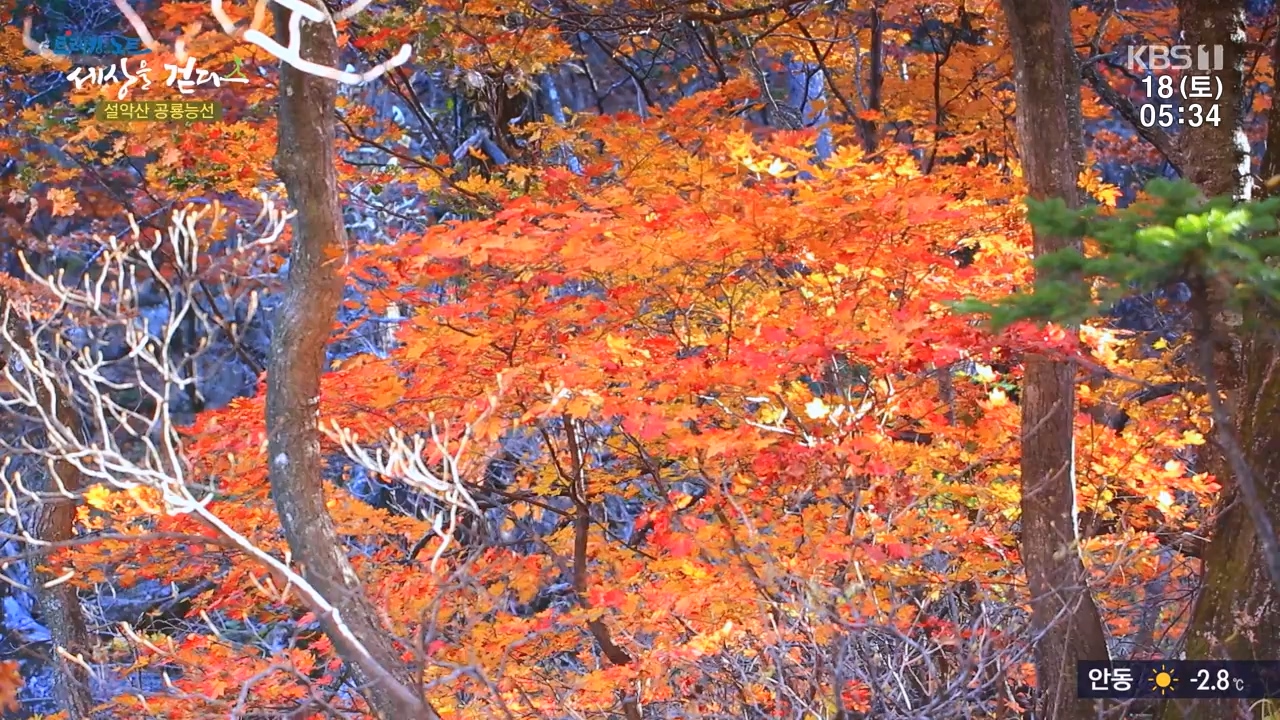 트레킹노트 세상을 걷다.E297.231119p-NEXT.mp4_20231123_212054.504.jpg