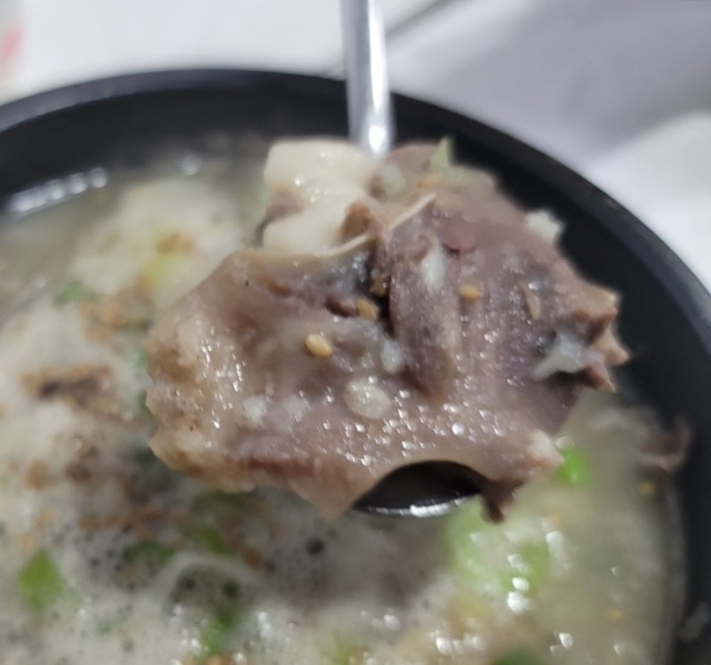 속초 순대국 맛집 아바이마을 장터순대국