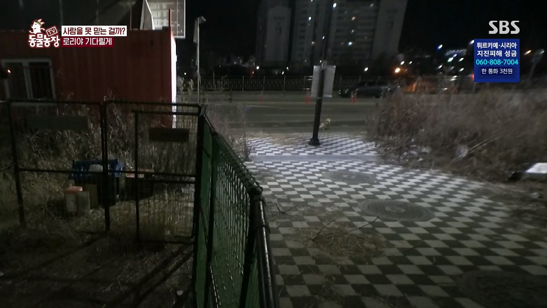 TV 동물농장.E1109.230219p.H264-F1RST.mp4_20230219_142850.803.jpg