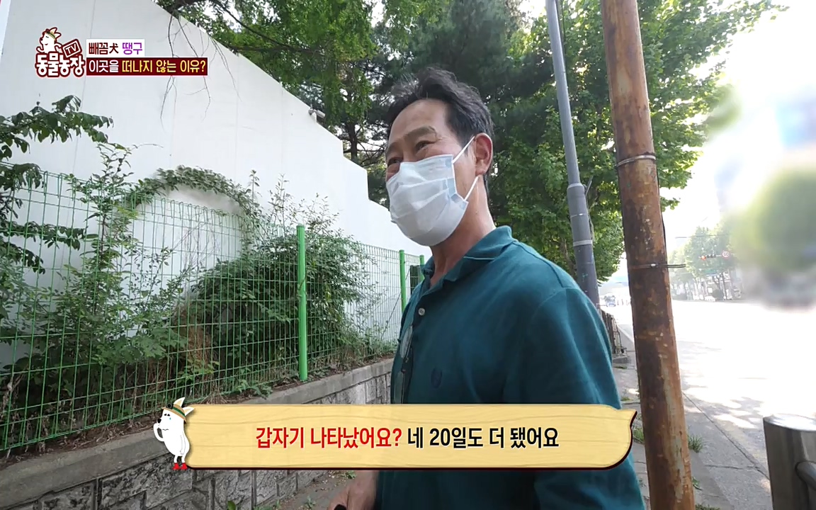 TV 동물농장.E1075.220627p-NEXT.mp4_20220626_175558.605.jpg