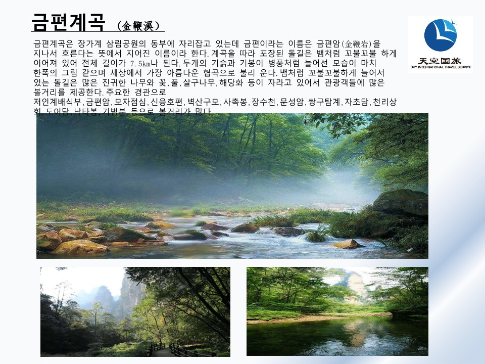 로얄관광주 이미지