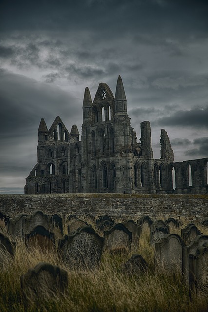 vampire-series