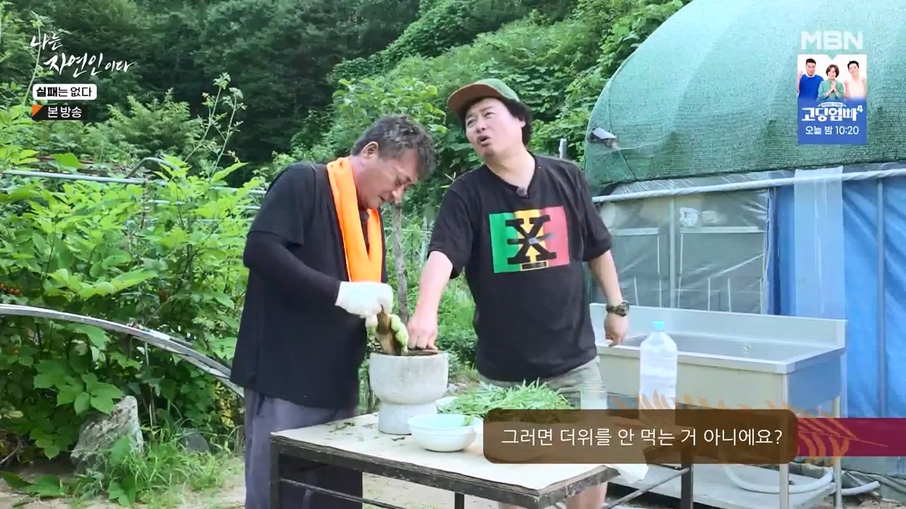 나는 자연인이다.E567.230817p-NEXT.mp4_20230817_202917.380.jpg