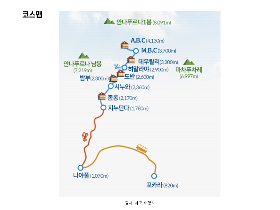 로글로 이미지