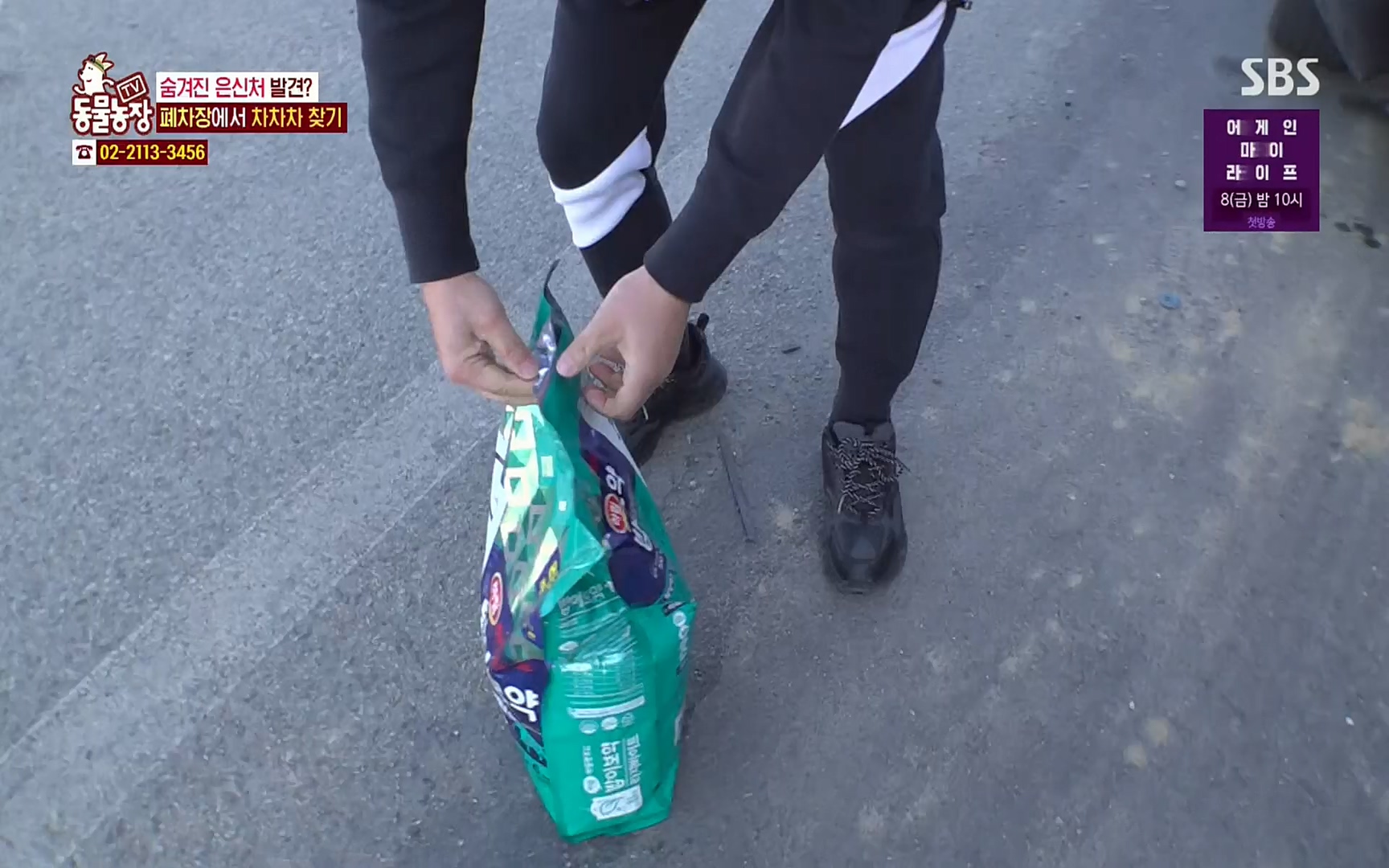 TV 동물농장.E1063.220403p.H264-F1RST.mp4_20220403_175114.259.jpg