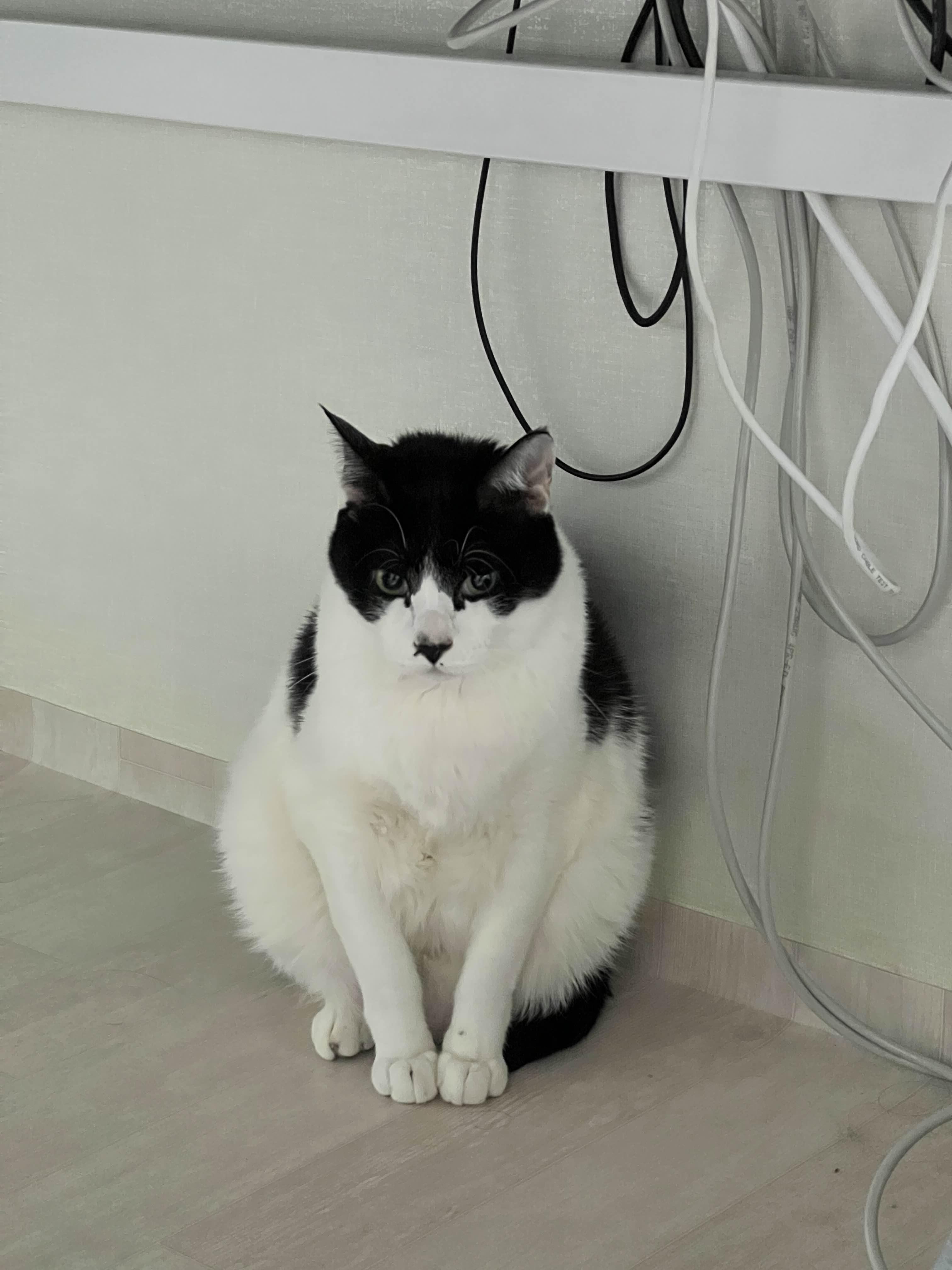  김꾸룽씨