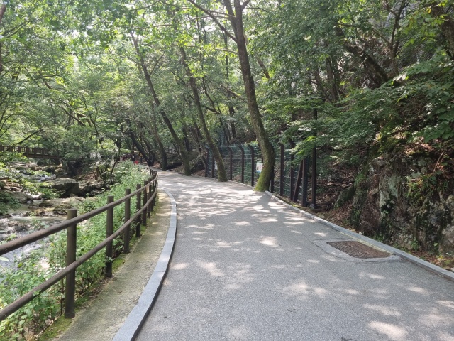 산책로