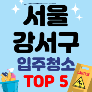 서울 강서구 입주청소 이사청소 원룸청소 전문 후기 업체 추천 견적 비용 비교 TOP 5 2024