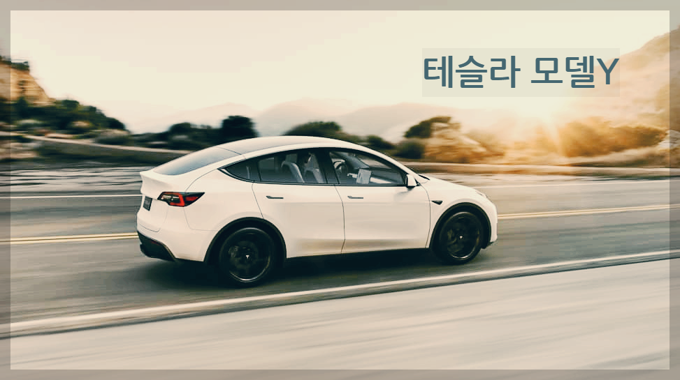  테슬라 모델Y : 현재 전세계에서 가장 많이 팔리고 있는 테슬라 중형 SUV 전기차