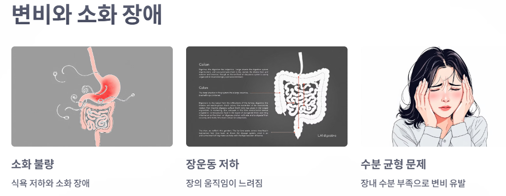 변비와 소화 장애 예시