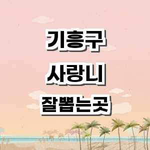 용인 기흥구 사랑니