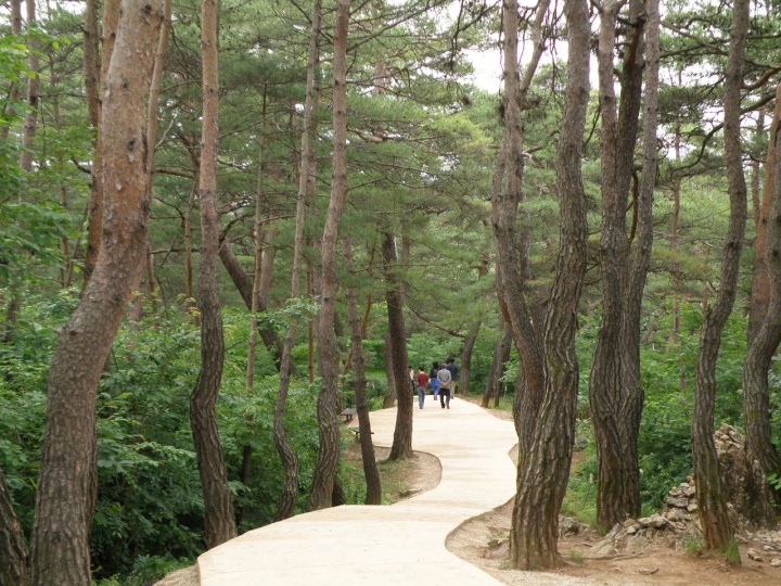 장릉가는 길