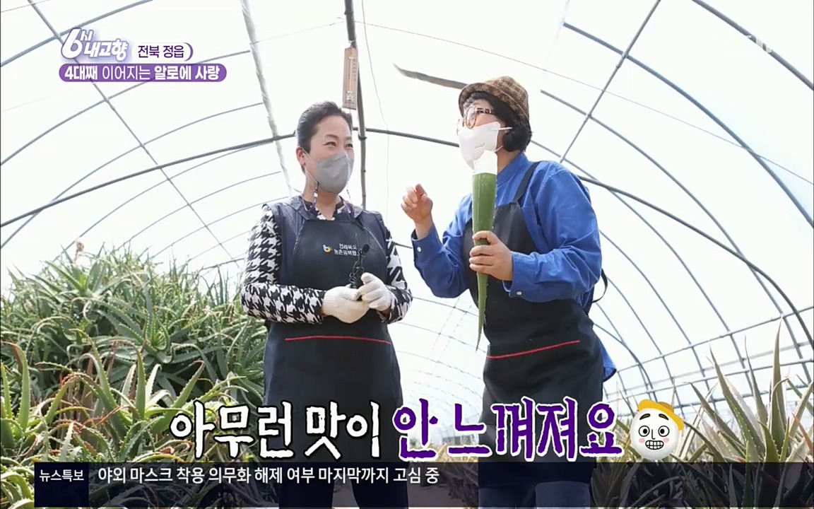 6시 내고향.E7511.220415p.H264-F1RST.mp4_20220425_165925.858.jpg