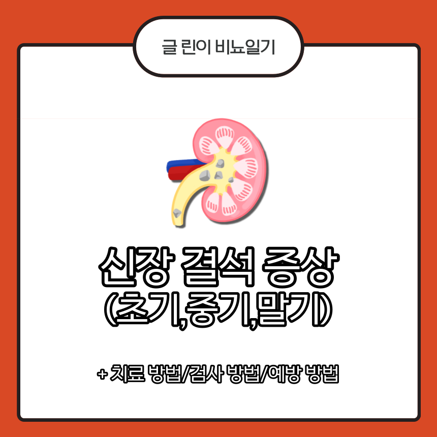  신장 결석 증상 (초기/중기/말기)