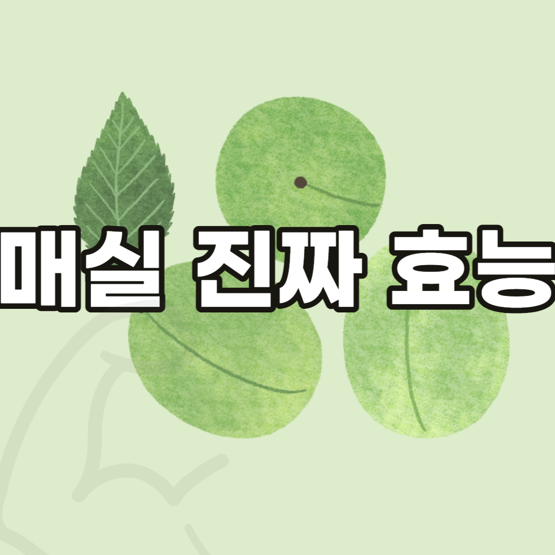 매실효능-부작용-칼로리-청매실-황매실-초록매실-요리법-먹는법-매실음료효능-매실청-매실주