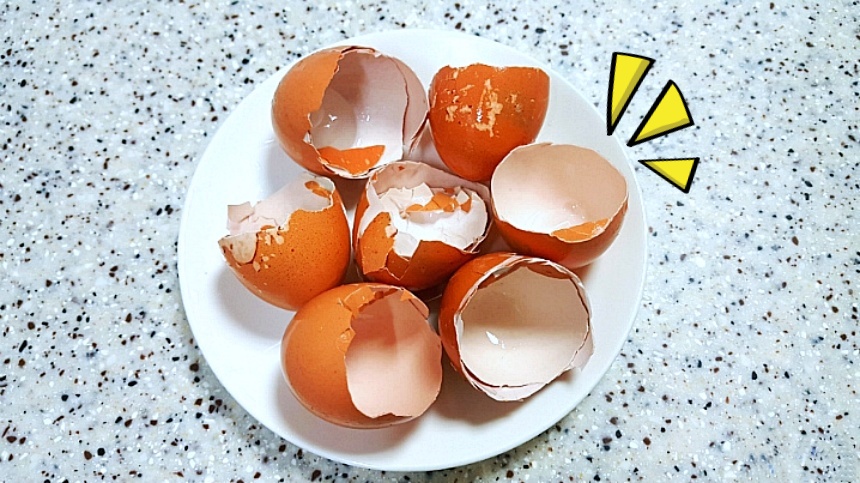 달걀껍질