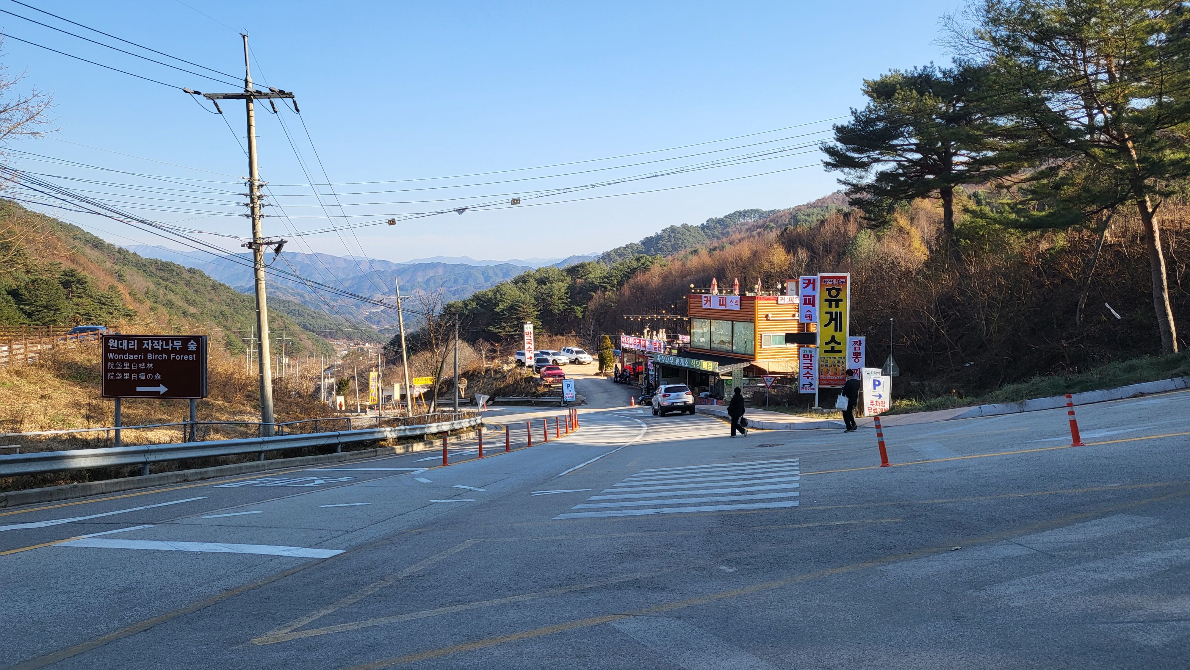 원대리 자작나무 숲 입구