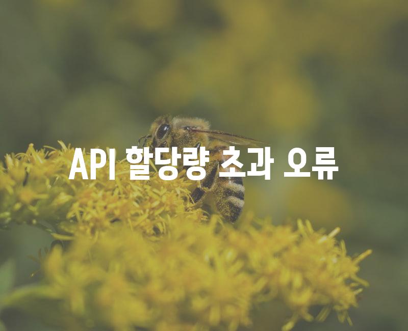 API 할당량 초과 오류 9