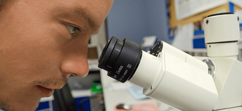 현미경으로 무엇인가를 처다보고 있다