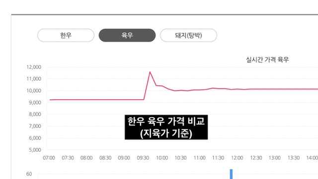 육우 한우 차이 가격
