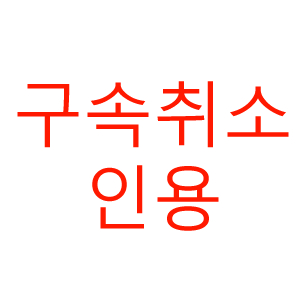 윤석열 구속 취소 인용.